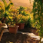 Canaan In Tenerife - Heated Pool, Ocean Views, Palm Garden, Apartment Costa Adeje (Tenerife)