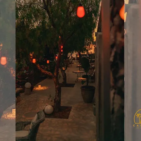 Canaan In Tenerife - Heated Pool, Ocean Views, Palm Garden, Appartement *