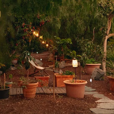 Canaan In Tenerife - Heated Pool, Ocean Views, Palm Garden, Appartement *